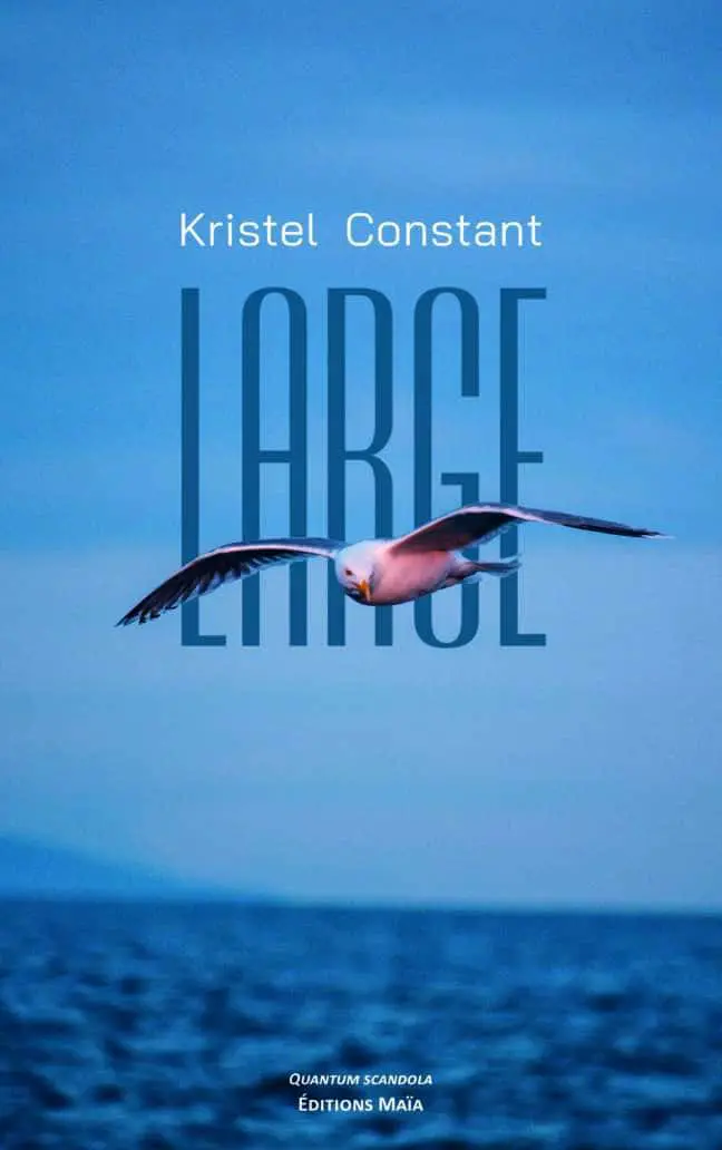 Kristel Constant, Large