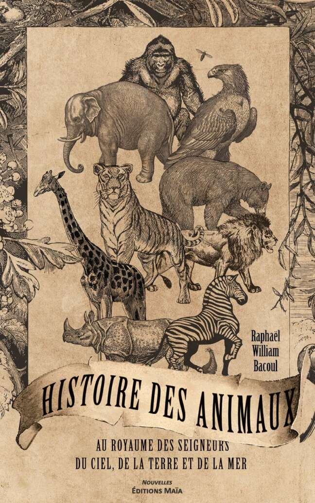 Histoire des animaux Raphael William Bacoul